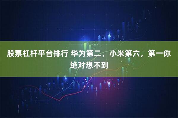 股票杠杆平台排行 华为第二，小米第六，第一你绝对想不到