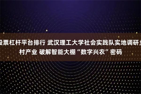 股票杠杆平台排行 武汉理工大学社会实践队实地调研乡村产业 破解智能大棚“数字兴农”密码