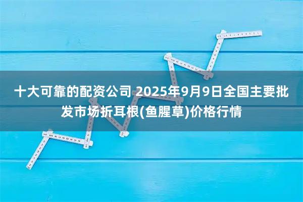 十大可靠的配资公司 2025年9月9日全国主要批发市场折耳根(鱼腥草)价格行情