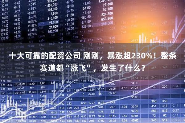 十大可靠的配资公司 刚刚,暴涨超230%!整条赛道都“涨飞”,发生了什么?