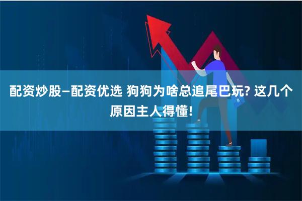 配资炒股—配资优选 狗狗为啥总追尾巴玩? 这几个原因主人得懂!