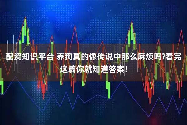 配资知识平台 养狗真的像传说中那么麻烦吗?看完这篇你就知道答案!