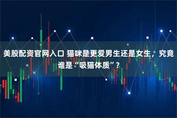 美股配资官网入口 猫咪是更爱男生还是女生，究竟谁是“吸猫体质”?