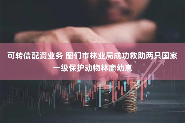可转债配资业务 图们市林业局成功救助两只国家一级保护动物林麝幼崽