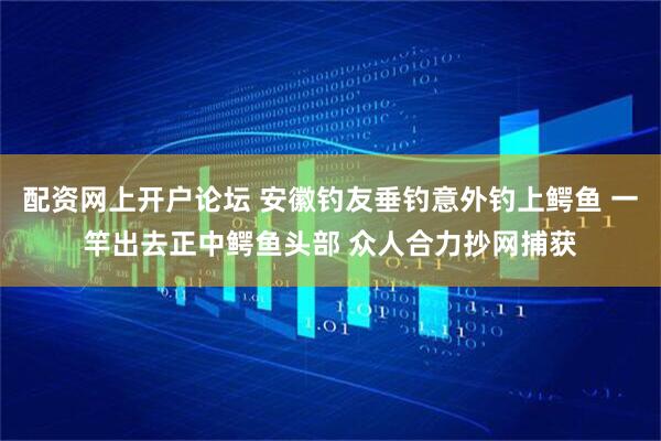 配资网上开户论坛 安徽钓友垂钓意外钓上鳄鱼 一竿出去正中鳄鱼头部 众人合力抄网捕获