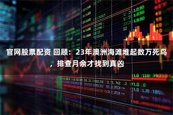 官网股票配资 回顾：23年澳洲海滩堆起数万死鸟，排查月余才找到真凶